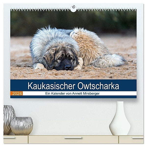 Kaukasischer Owtscharka (hochwertiger Premium Wandkalender 2024 DIN A2 quer), Kunstdruck in Hochglanz, Annett Mirsberger