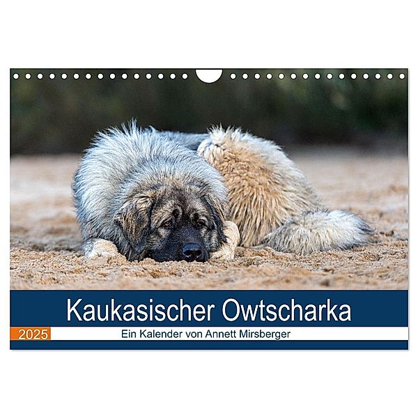 Kaukasischer Owtscharka (Wandkalender 2025 DIN A4 quer), CALVENDO Monatskalender, Calvendo, Annett Mirsberger