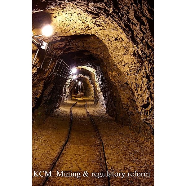 KCM: Mining & regulatory reform, John Kabaa Kamau