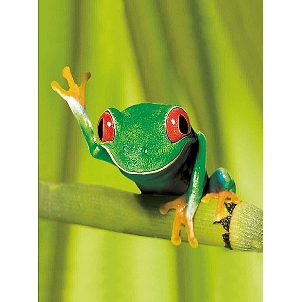 Keep Smiling Frog