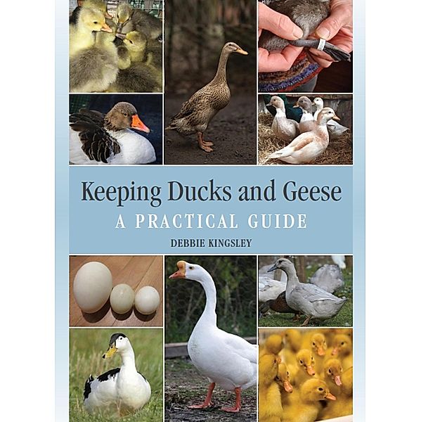 Keeping Ducks and Geese, Debbie Kingsley