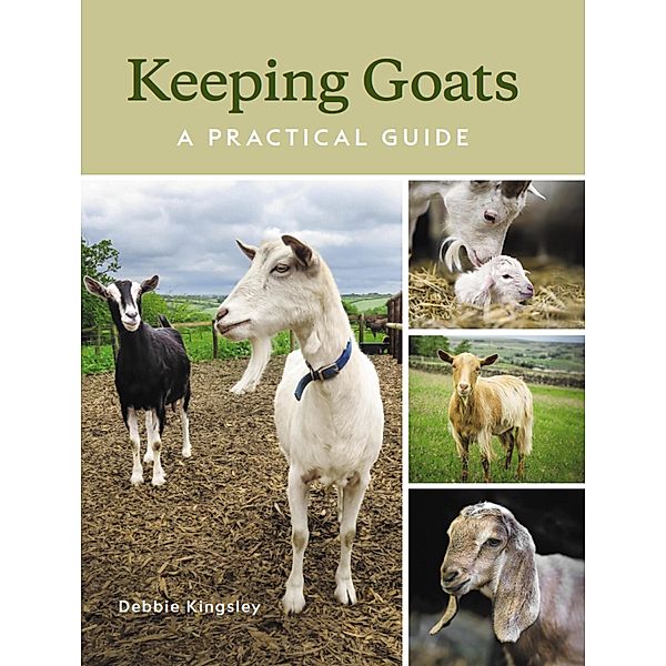 Keeping Goats, Debbie Kingsley