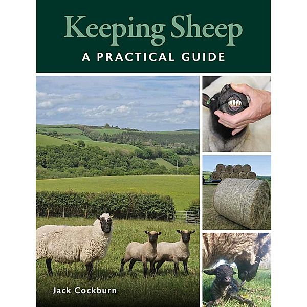 Keeping Sheep, Jack Cockburn