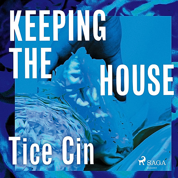 Keeping the House, Tice Cin