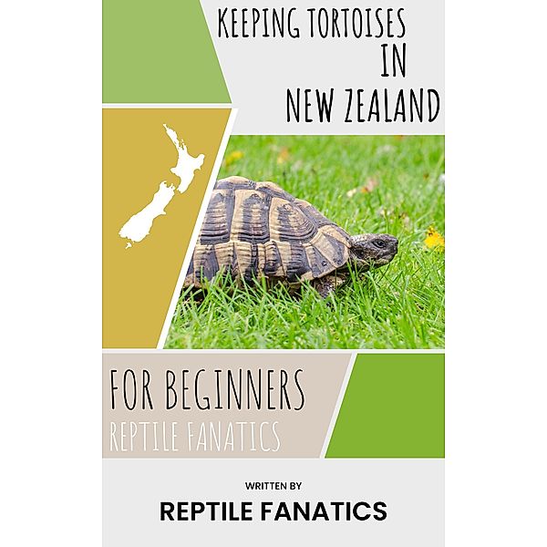 Keeping Tortoises in New Zealand For Beginners, Reptile Fanatics