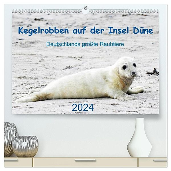 Kegelrobben auf der Insel Düne (hochwertiger Premium Wandkalender 2024 DIN A2 quer), Kunstdruck in Hochglanz, N. Wilhelm