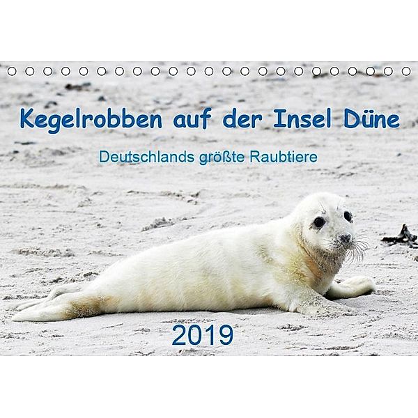 Kegelrobben auf der Insel Düne (Tischkalender 2019 DIN A5 quer), N. Wilhelm