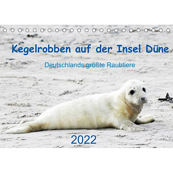 Kegelrobben auf der Insel Düne (Tischkalender 2022 DIN A5 quer), N. Wilhelm