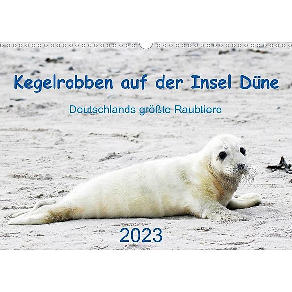 Kegelrobben auf der Insel Düne (Wandkalender 2023 DIN A3 quer), N. Wilhelm