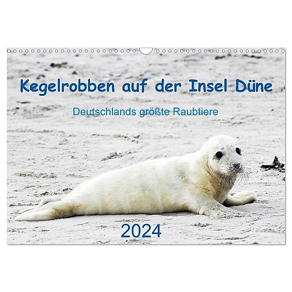 Kegelrobben auf der Insel Düne (Wandkalender 2024 DIN A3 quer), CALVENDO Monatskalender, N. Wilhelm