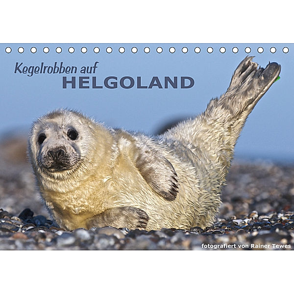 Kegelrobben auf Helgoland (Tischkalender 2019 DIN A5 quer), Rainer Tewes