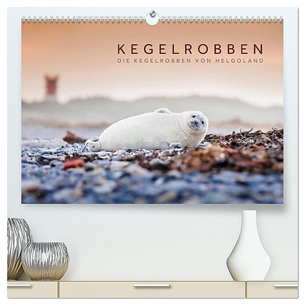 Kegelrobben - Die Kegelrobben von Helgoland (hochwertiger Premium Wandkalender 2024 DIN A2 quer), Kunstdruck in Hochglanz, Lain Jackson