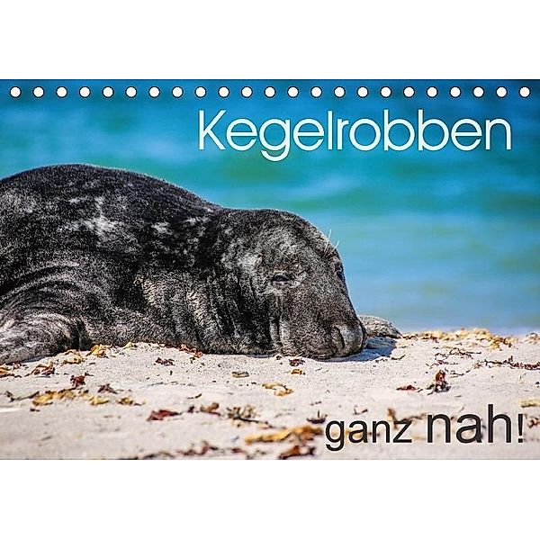 Kegelrobben ganz nah! (Tischkalender 2017 DIN A5 quer), Christian Colista