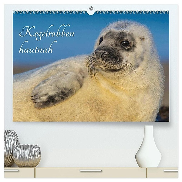 Kegelrobben hautnah (hochwertiger Premium Wandkalender 2024 DIN A2 quer), Kunstdruck in Hochglanz, Sigrid Starick