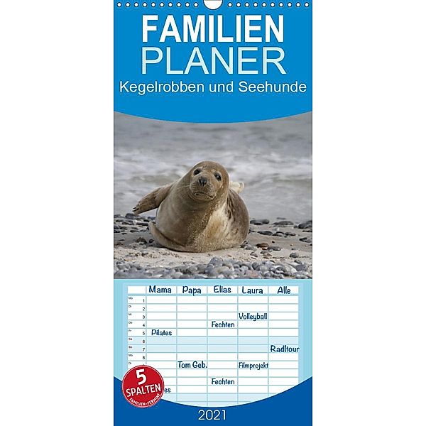 Kegelrobben und Seehunde - Familienplaner hoch (Wandkalender 2021 , 21 cm x 45 cm, hoch), Antje Lindert-Rottke