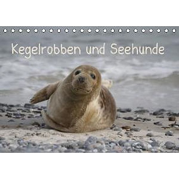 Kegelrobben und Seehunde (Tischkalender 2016 DIN A5 quer), Antje Lindert-Rottke