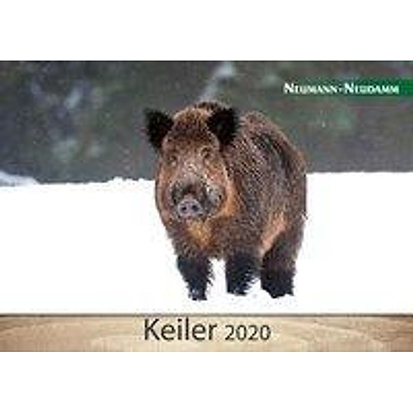 Keiler 2020