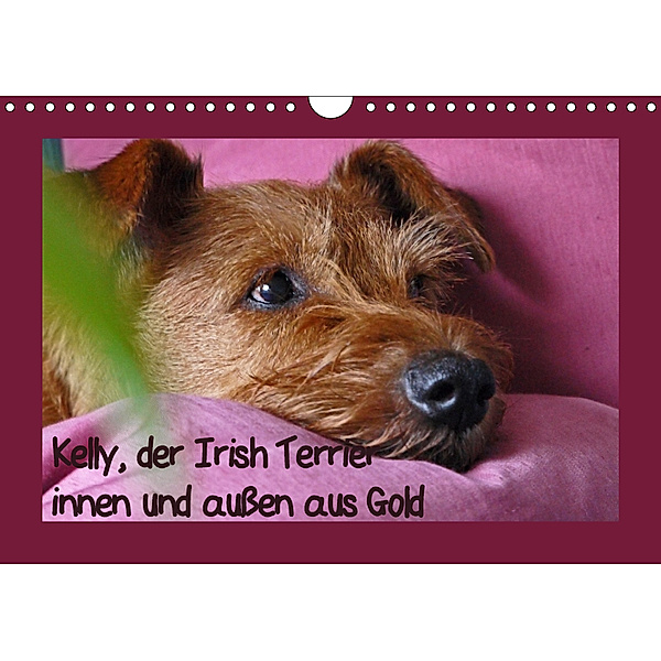 Kelly, der Irish Terrier - innen und außen aus Gold (Wandkalender 2019 DIN A4 quer), Claudia Schimon