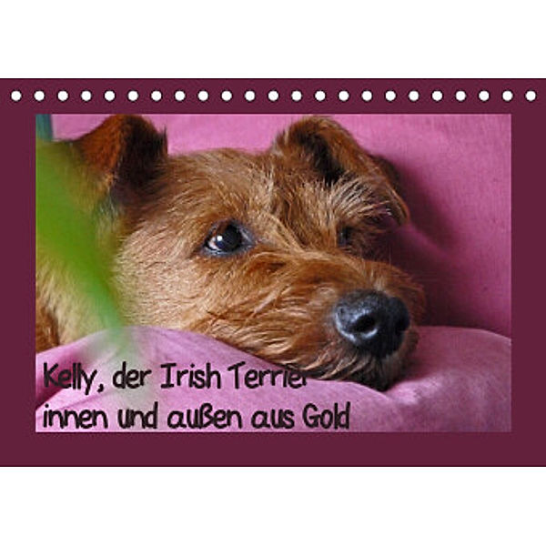 Kelly, der Irish Terrier - innen und außen aus Gold (Tischkalender 2022 DIN A5 quer), Claudia Schimon