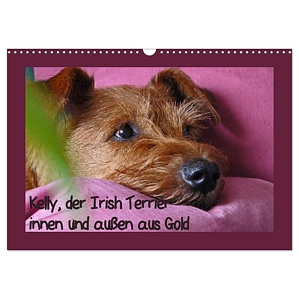 Kelly, der Irish Terrier - innen und aussen aus Gold (Wandkalender 2024 DIN A3 quer), CALVENDO Monatskalender, Claudia Schimon