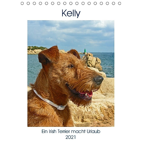 Kelly - Ein Irish Terrier macht Urlaub (Tischkalender 2021 DIN A5 hoch), Claudia Schimon