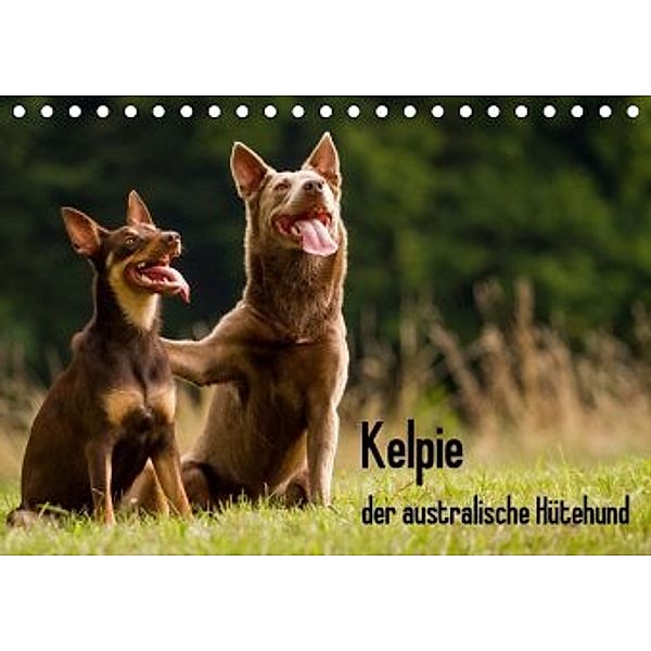 Kelpie - der australische Hütehund (Tischkalender 2020 DIN A5 quer), Cornelia Brickum