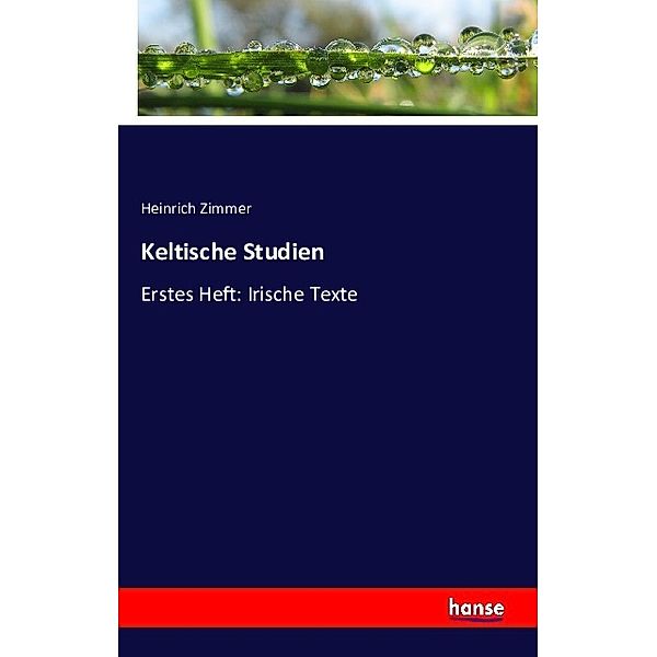 Keltische Studien, Heinrich Zimmer