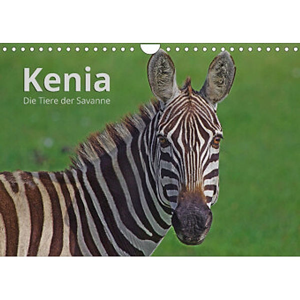 Kenia - Die Tiere der Savanne (Wandkalender 2022 DIN A4 quer), Andreas Mayer