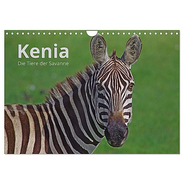 Kenia - Die Tiere der Savanne (Wandkalender 2025 DIN A4 quer), CALVENDO Monatskalender, Calvendo, Andreas Mayer