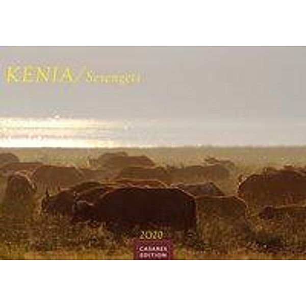 Kenia / Serengeti 2020