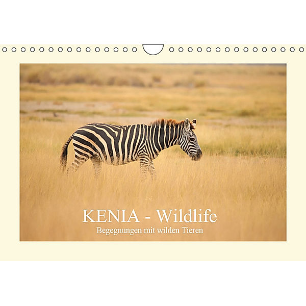 KENIA Wildlife - Begegnungen mit wilden Tieren (Wandkalender 2019 DIN A4 quer), Andreas Demel