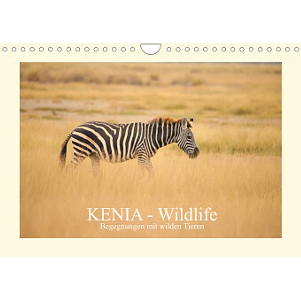 KENIA Wildlife - Begegnungen mit wilden Tieren (Wandkalender 2022 DIN A4 quer), Andreas Demel
