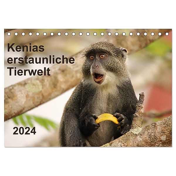 Kenias erstaunliche Tierwelt (Tischkalender 2024 DIN A5 quer), CALVENDO Monatskalender, Andreas Demel