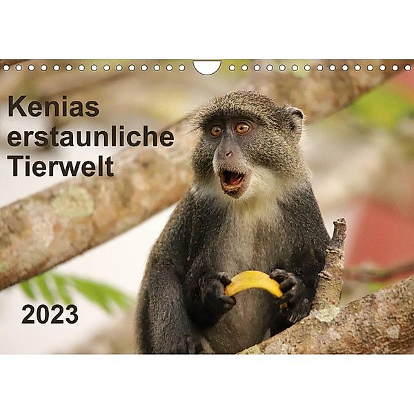 Kenias erstaunliche Tierwelt (Wandkalender 2023 DIN A4 quer), Andreas Demel