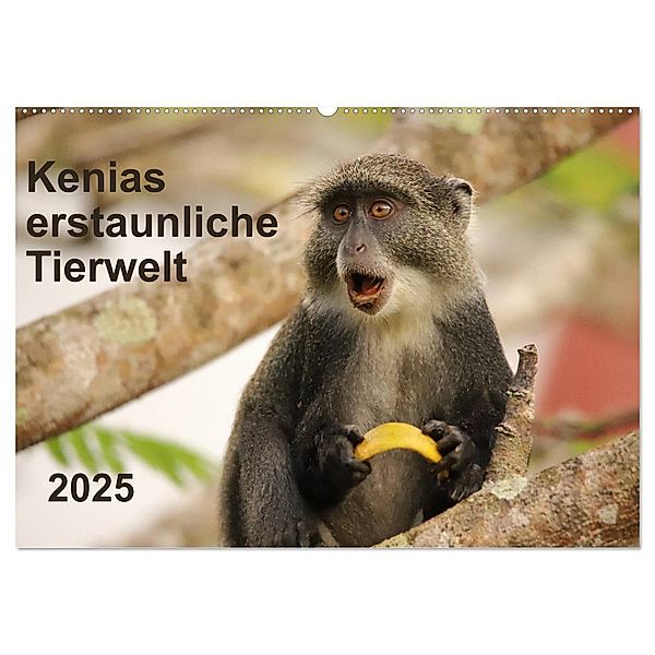 Kenias erstaunliche Tierwelt (Wandkalender 2025 DIN A2 quer), CALVENDO Monatskalender, Calvendo, Andreas Demel