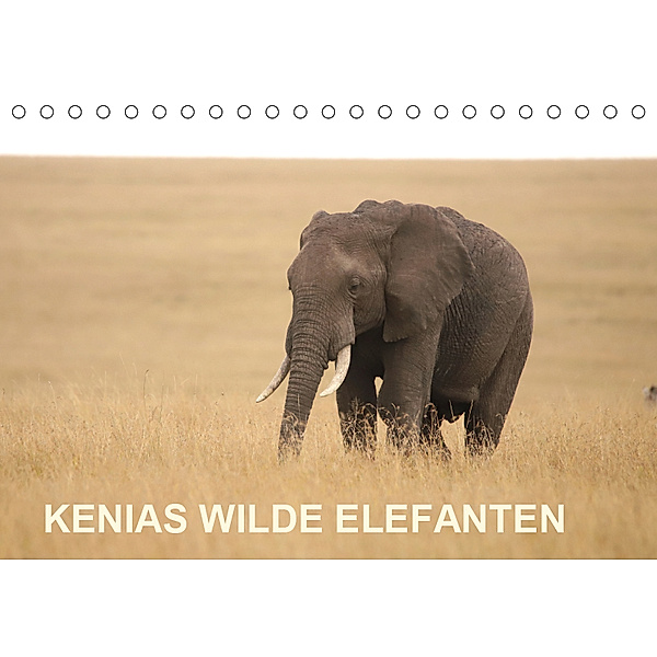 Kenias wilde Elefanten (Tischkalender 2019 DIN A5 quer), Andreas Demel