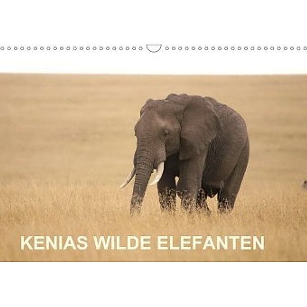 Kenias wilde Elefanten (Wandkalender 2020 DIN A3 quer), Andreas Demel