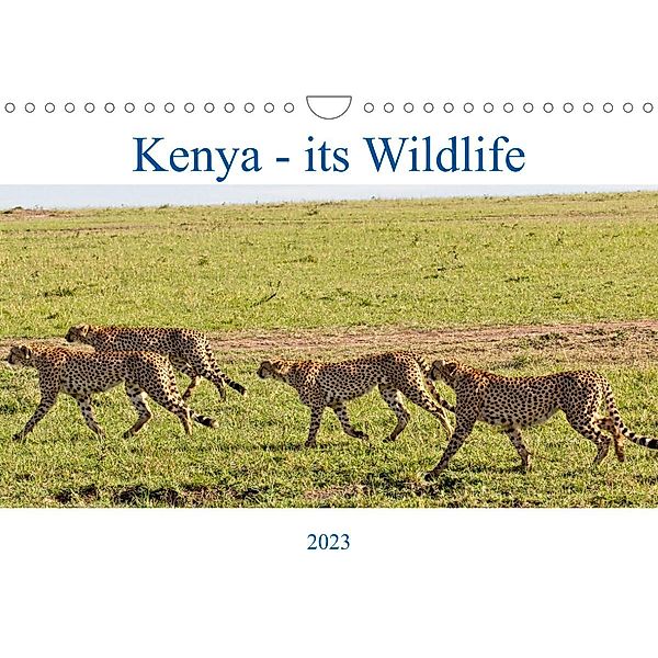 Kenya - its Wildlife (Wall Calendar 2023 DIN A4 Landscape), Tony Mills