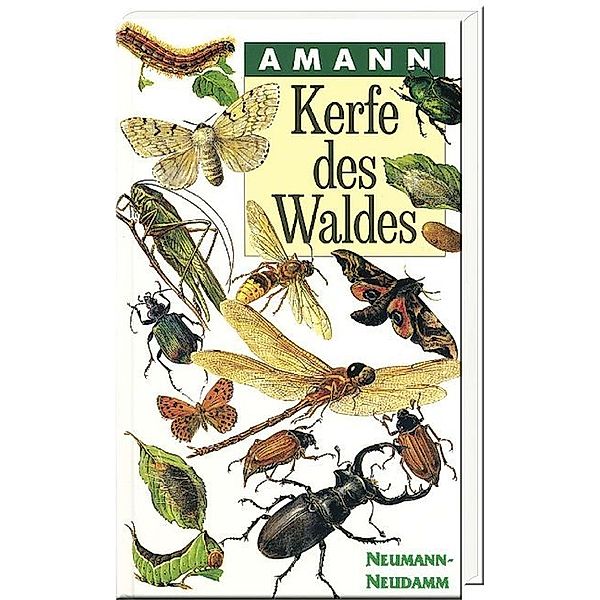 Kerfe des Waldes, Gottfried Amann