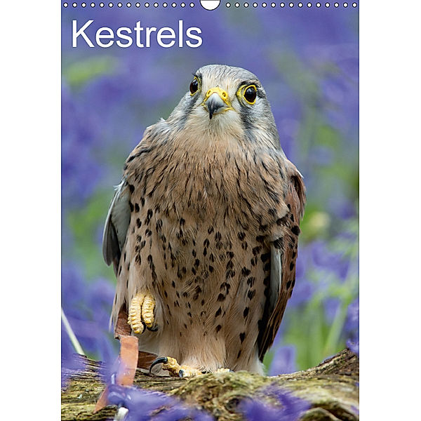 Kestrels (Wall Calendar 2018 DIN A3 Portrait), S Clifford