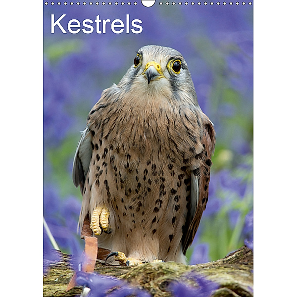 Kestrels (Wall Calendar 2019 DIN A3 Portrait), S Clifford