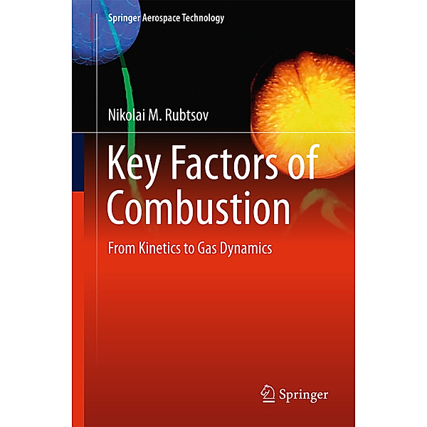 Key Factors of Combustion, Nikolai M. Rubtsov