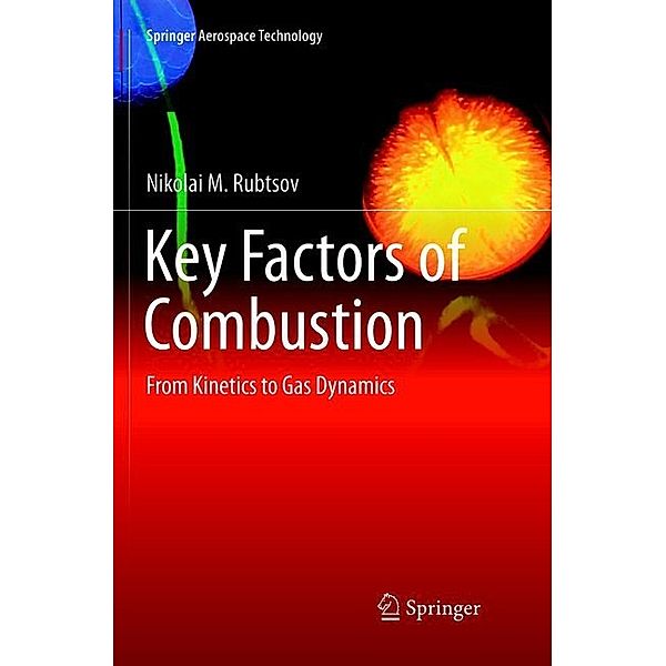Key Factors of Combustion, Nikolai M. Rubtsov