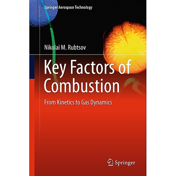 Key Factors of Combustion / Springer Aerospace Technology, Nikolai M. Rubtsov