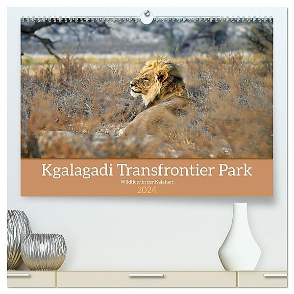 Kgalagadi - Fauna und Wildtiere in der Kalahari (hochwertiger Premium Wandkalender 2024 DIN A2 quer), Kunstdruck in Hochglanz, Calvendo, Dieter Stahl
