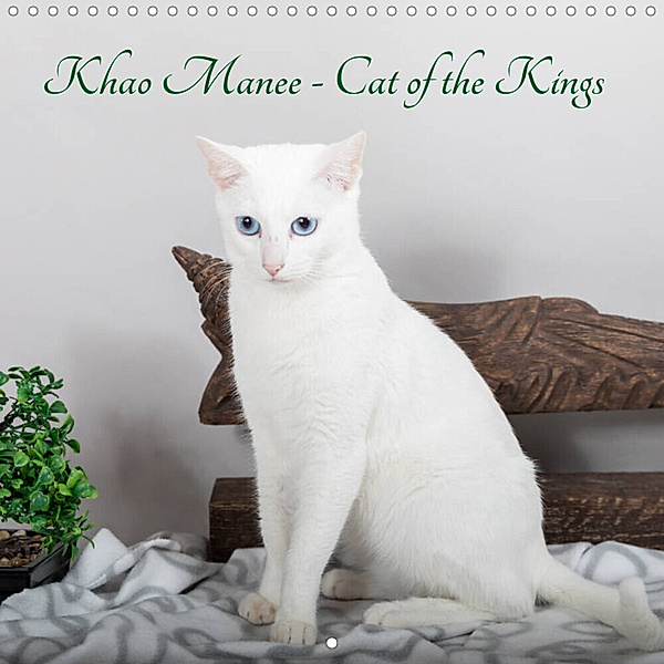 Khao Manee - Cat of the Kings (Wall Calendar 2023 300 × 300 mm Square), N N