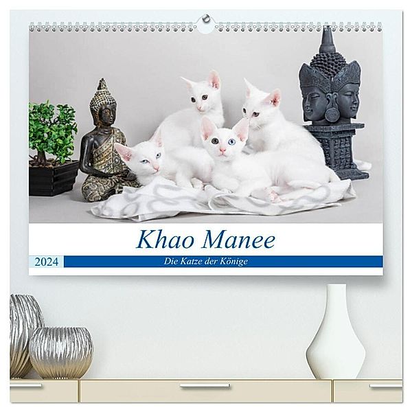 Khao Manee - Die Katze der Könige (hochwertiger Premium Wandkalender 2024 DIN A2 quer), Kunstdruck in Hochglanz, Fotodesign Verena Scholze
