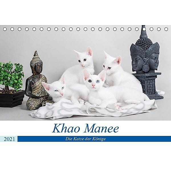 Khao Manee - Die Katze der Könige (Tischkalender 2021 DIN A5 quer), Fotodesign Verena Scholze