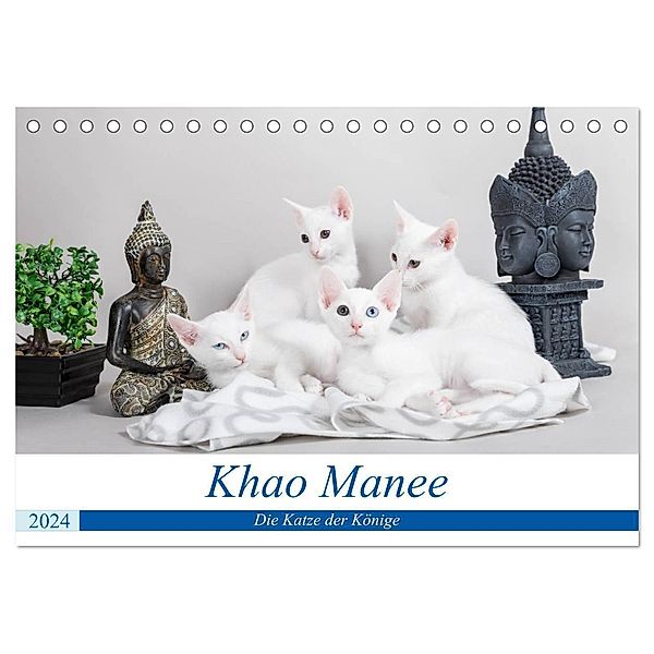 Khao Manee - Die Katze der Könige (Tischkalender 2024 DIN A5 quer), CALVENDO Monatskalender, Fotodesign Verena Scholze