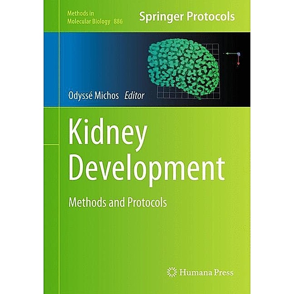 Kidney Development